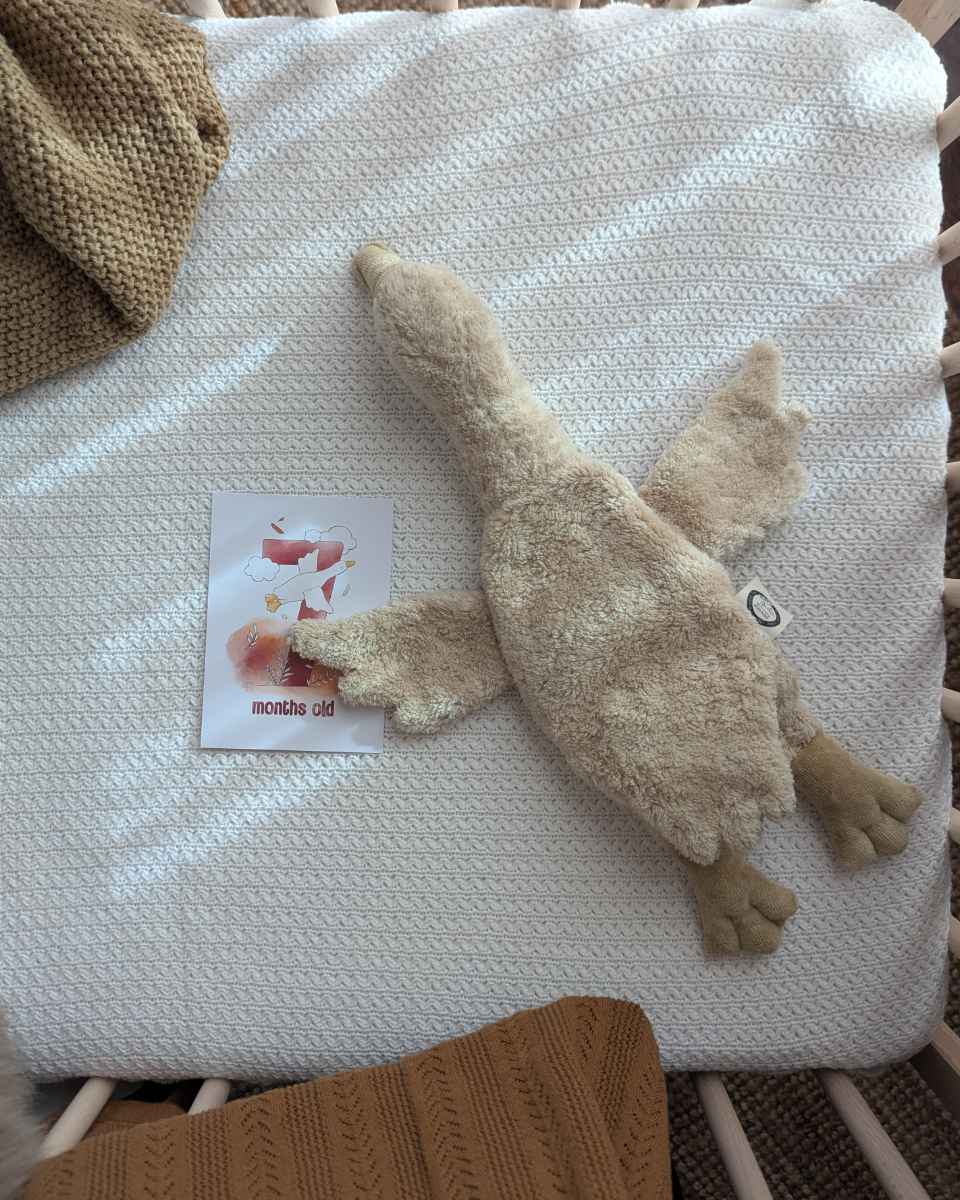 Senger Naturwelt Goose Small – Soft Toy & Heat Pad, 47 cm