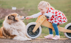 Wishbone 2in1 Balance Bike