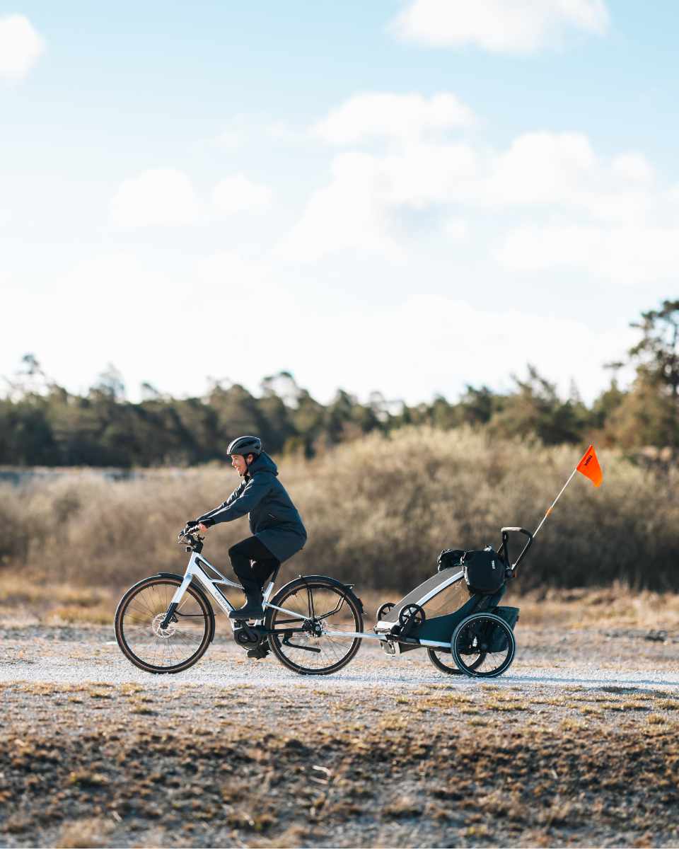 Thule Shield Fahrradtaschen 13L 2-er Pack