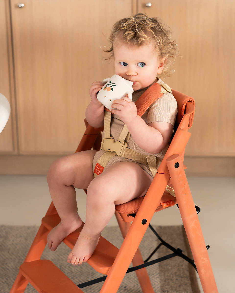 KAOS Klapp Junior Harness and Cushion Set