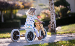 Wishbone 3in1 Balance Bike