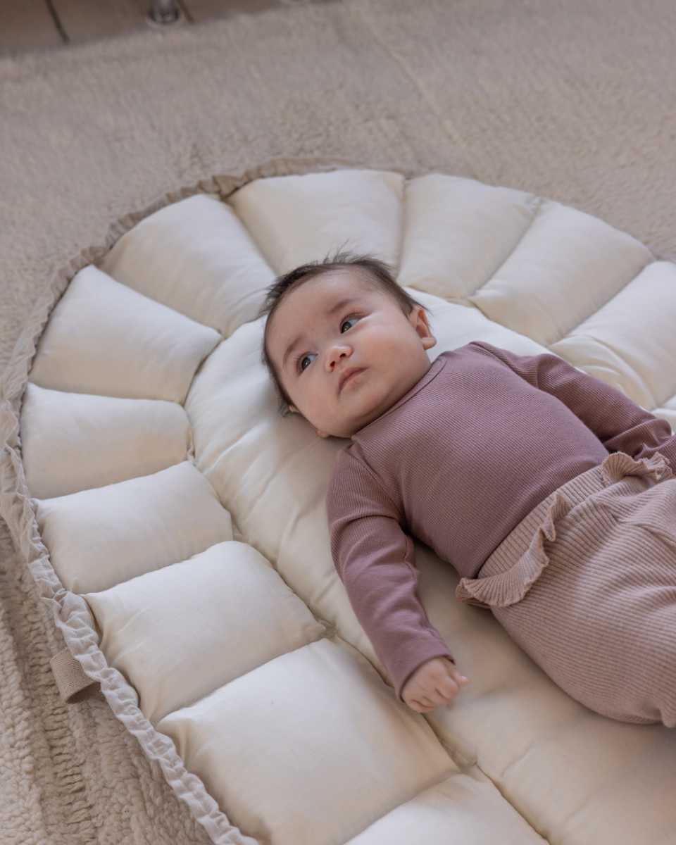 Sebra 3-in-1 Baby Nestchen+Verdeck