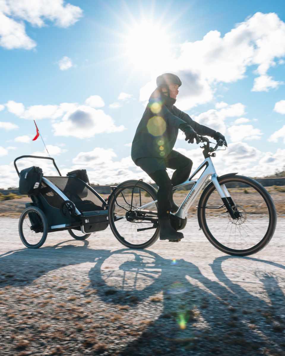 Thule Shield Fahrradtaschen 13L 2-er Pack