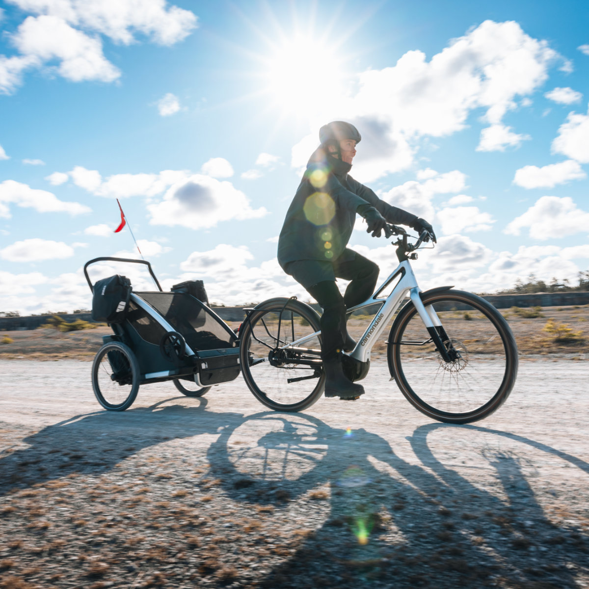 Thule Chariot 2 Taschenadapter für Fahrradanhänger – 2er-Set