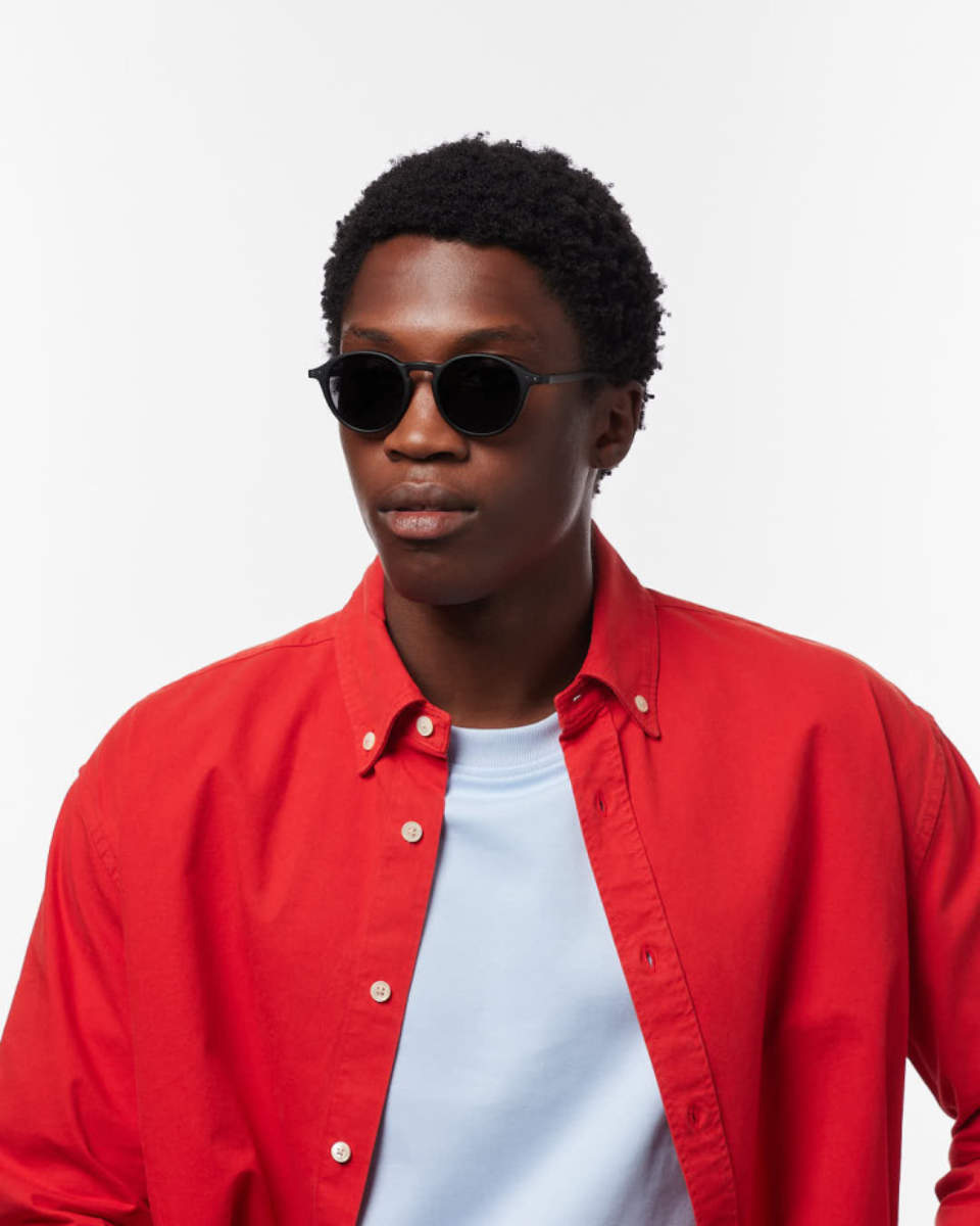 IZIPIZI Adult Sunglasses #D