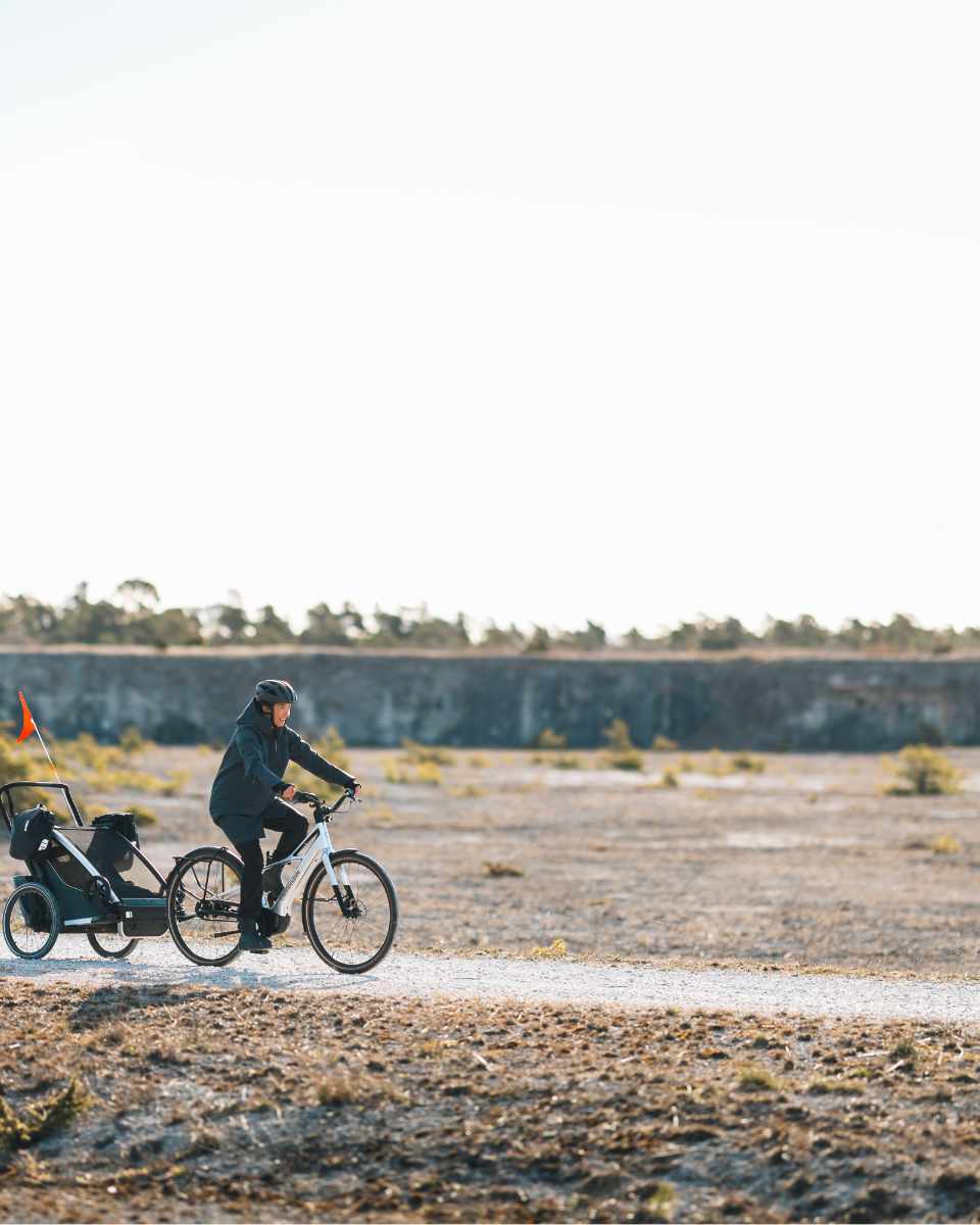 Thule Shield Fahrradtaschen 13L 2-er Pack
