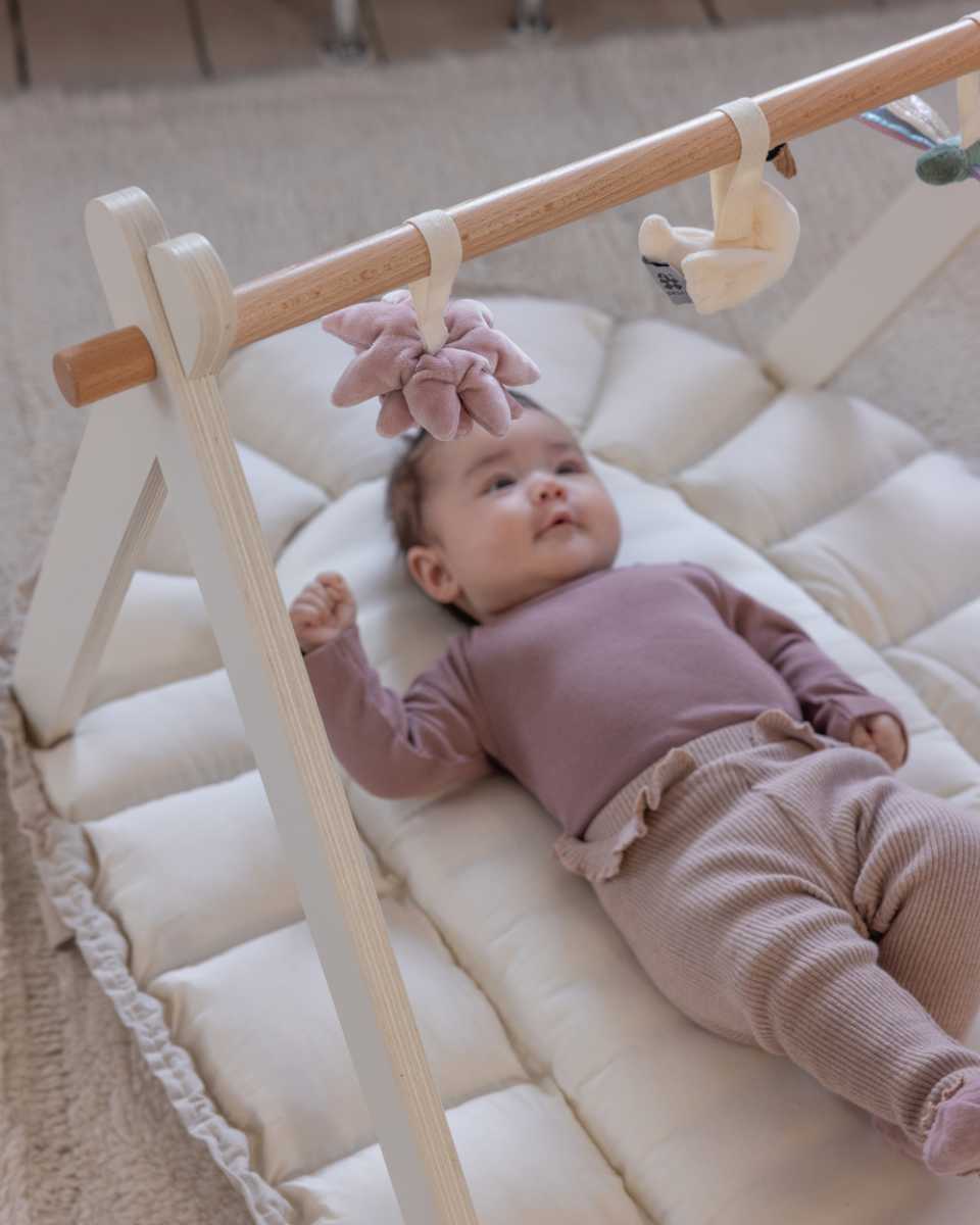 Sebra 3-in-1 Babynest