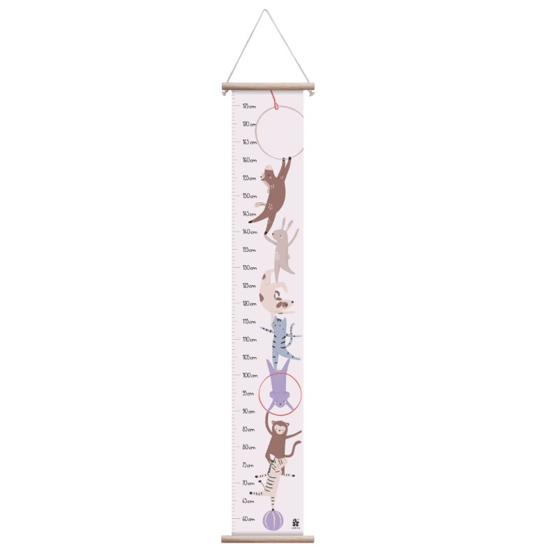 Sebra Height Measurement