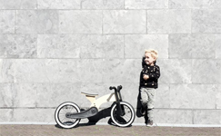 Wishbone Cruise Balance Bike