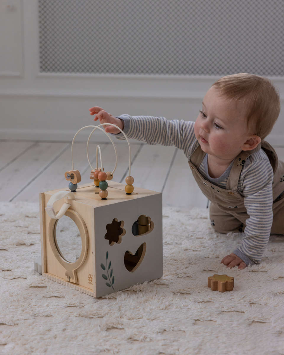 Sebra Motorik Box