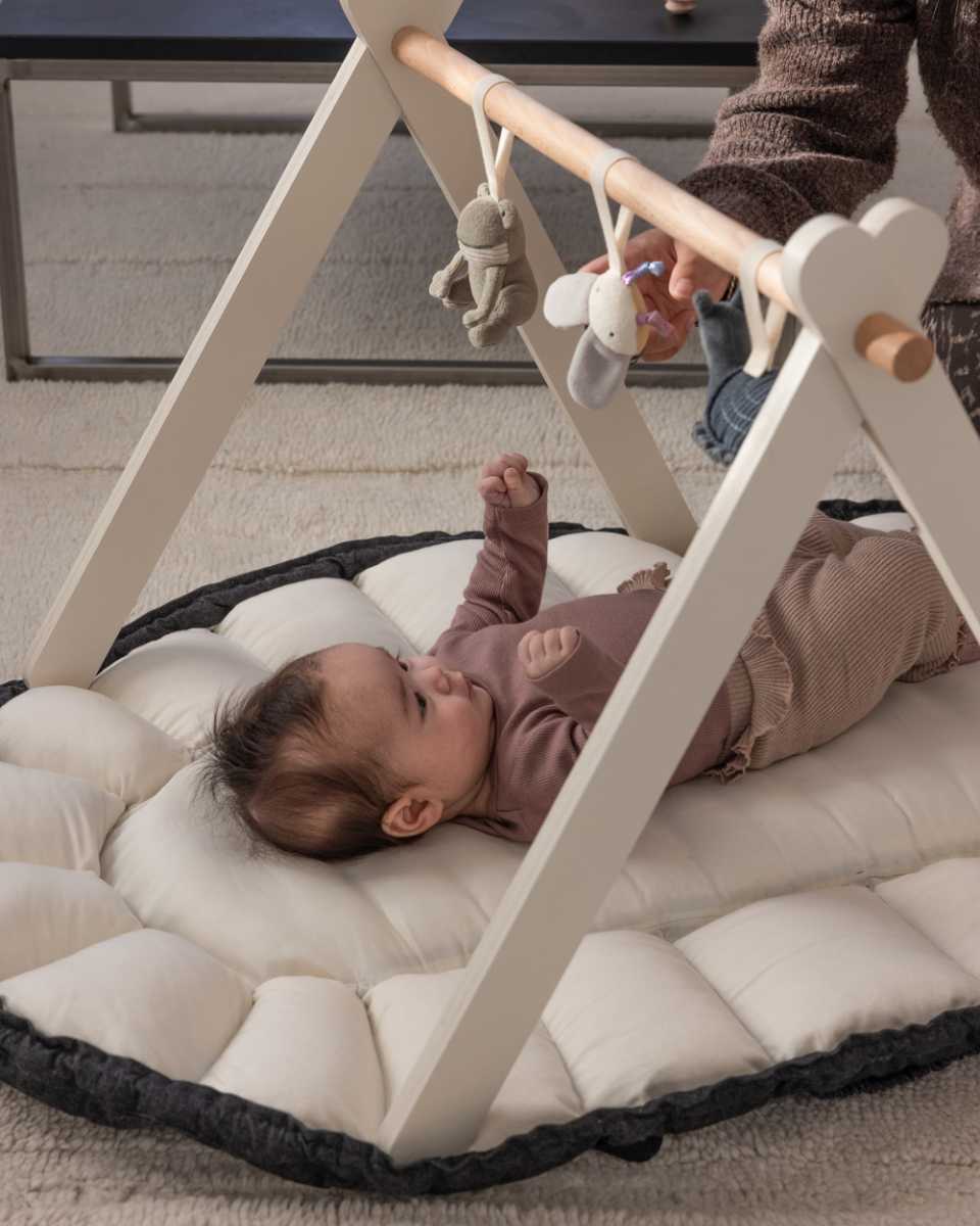 Sebra 3-in-1 Babynest