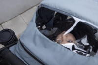 Vorschau: Thule Urban Glide 3 Kinderwagen Set 3 in 1 inkl. Maple i-Size Babyschale Vorschau: Thule Urban Glide 3 Kinderwagen Set 3 in 1 inkl. Maple i-Size Babyschale