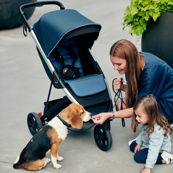 Thule-Spring-Buggy2