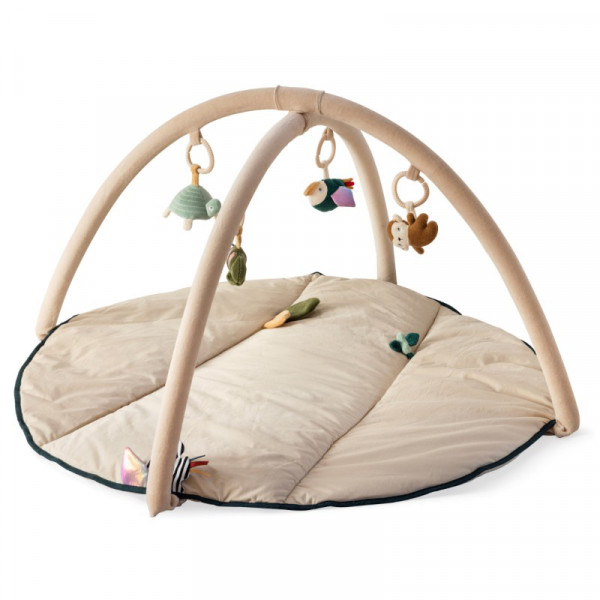 Sebra activity play blanket