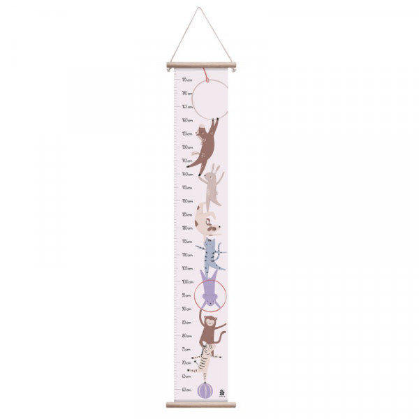 Sebra Height Measurement