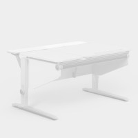 Moll Multi Deck Winner Moll Multi Deck Winner