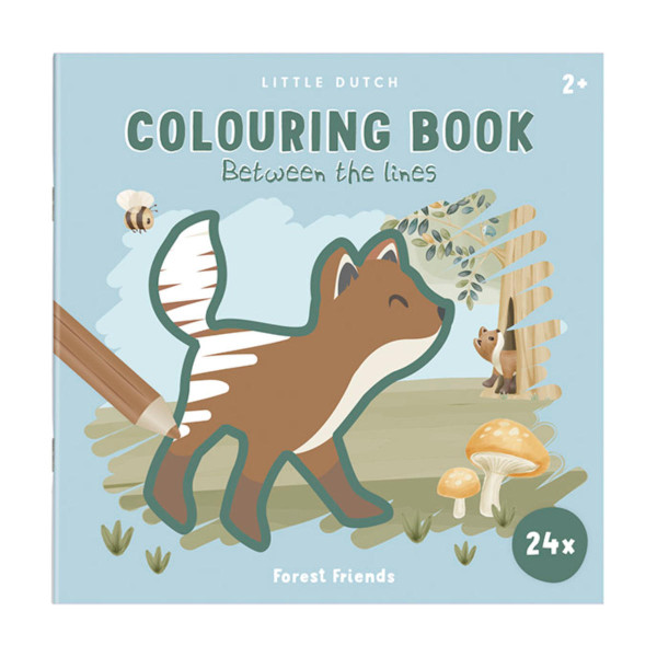 Little Dutch Coloring Book