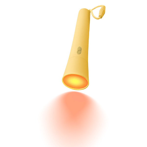 Lalarma Flashlight