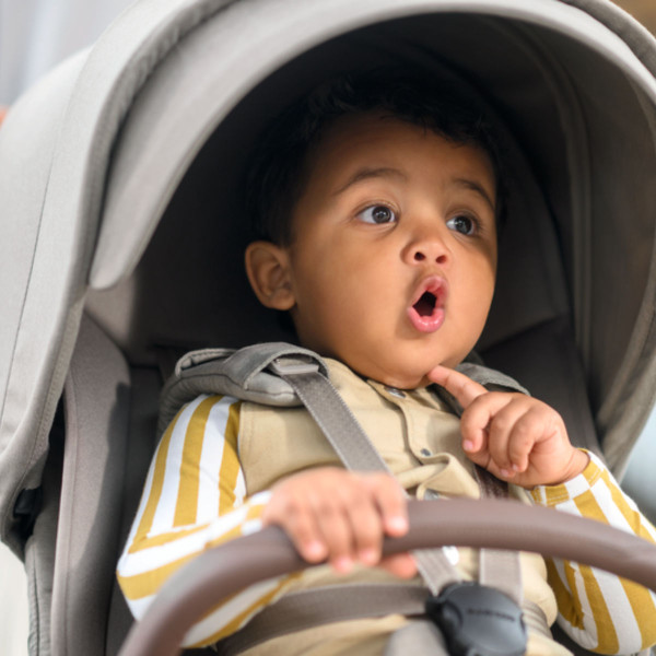 Maxi-Cosi Oxford+ Stroller Set 3-in-1 incl. Pebble 360 Pro2 + Free FamilyFix 360 Base