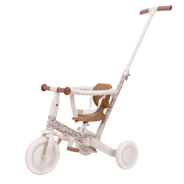 Little Dutch 4-in-1 Tricycle